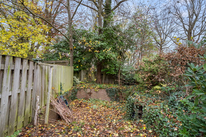 Photo 44 of Tarthorst 659