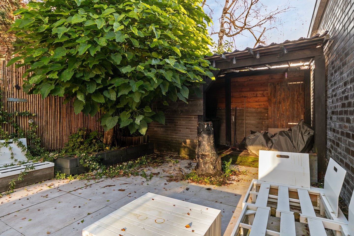 Foto 19 van Rodenrijseweg 15