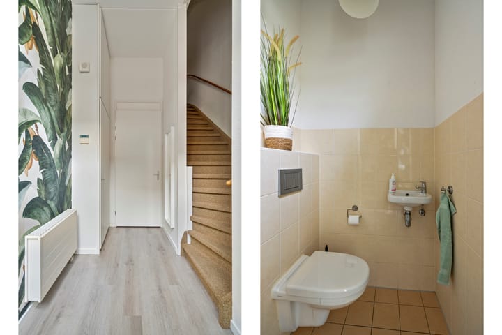 Foto 7 van Freijapad 4