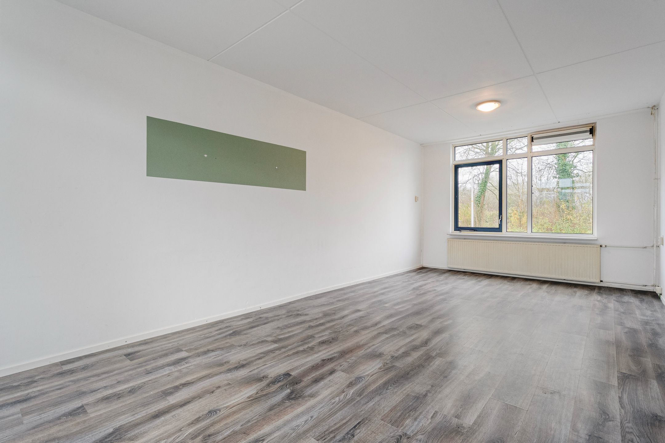 Foto 12 van Schaepmanstraat 23