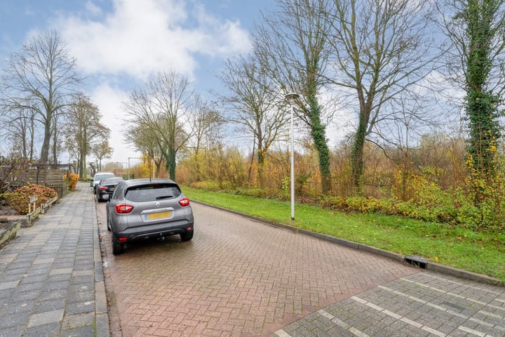 Foto 25 van Schaepmanstraat 23