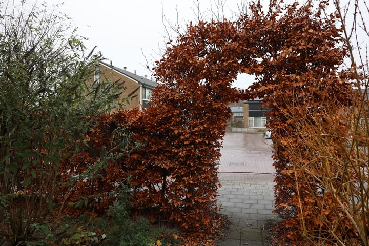 Foto 24 van Joost van den Vondelstraat 30