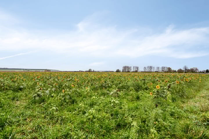 Photo 35 of Elzenstraat 4