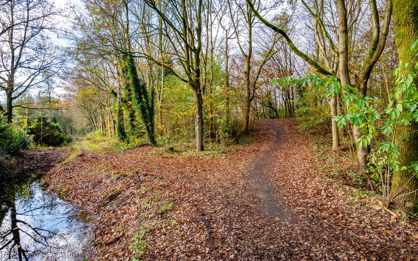 Foto 34 van Leemveld 76