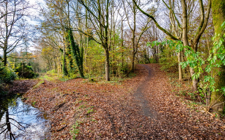 Photo 34 of Leemveld 76