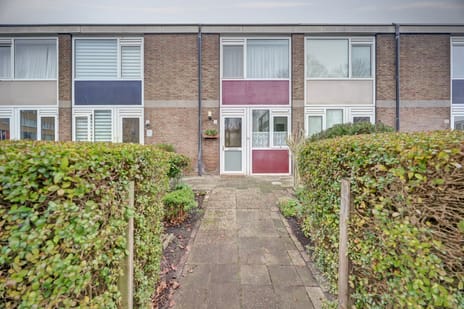 undefined main image