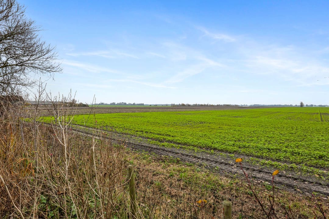 Foto 37 van Dorpsstraat 256