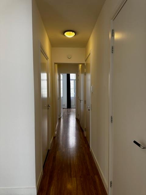 Photo 25 of Lange Houtstraat 23