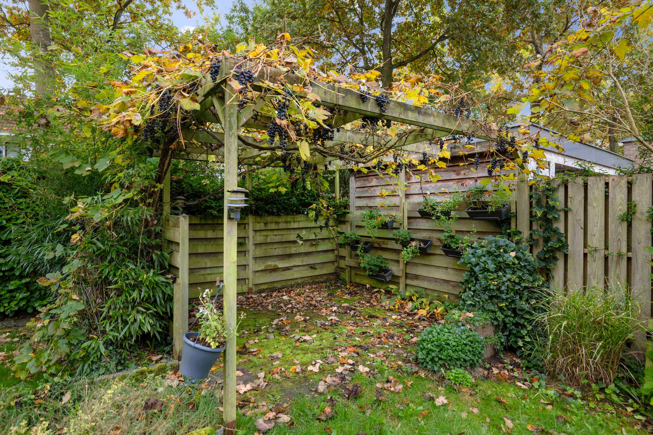 Foto 24 van Bernard Zweersstraat 47