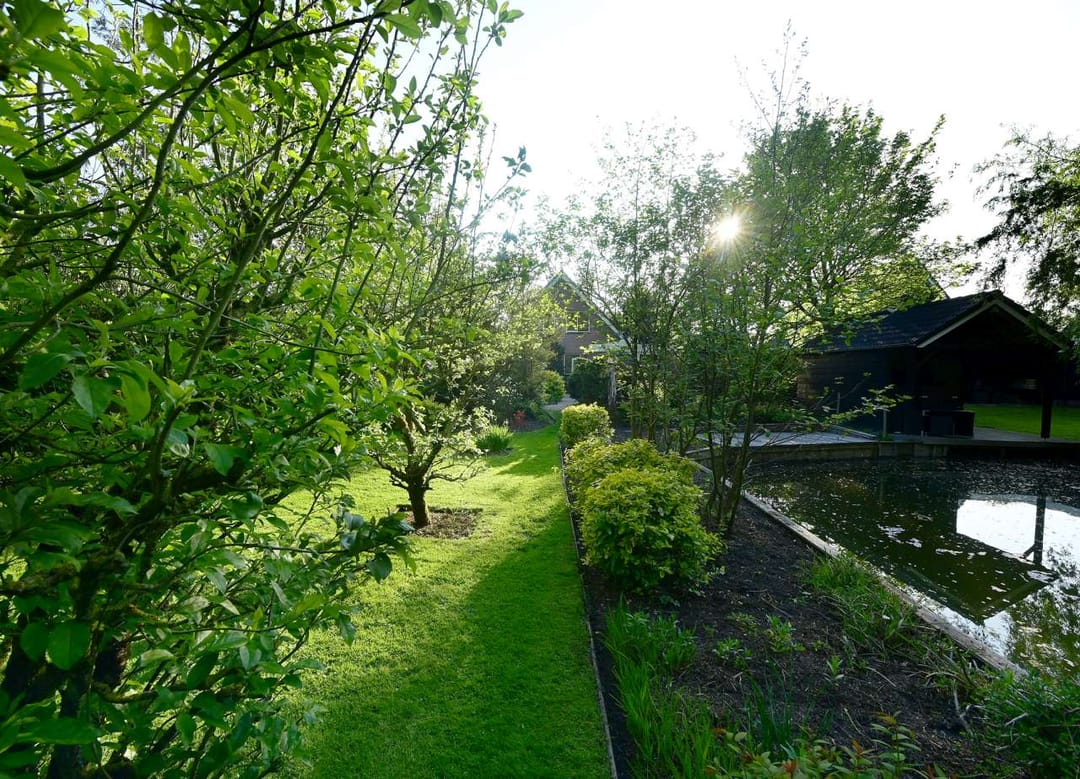 Foto 23 van Zwaluw 6