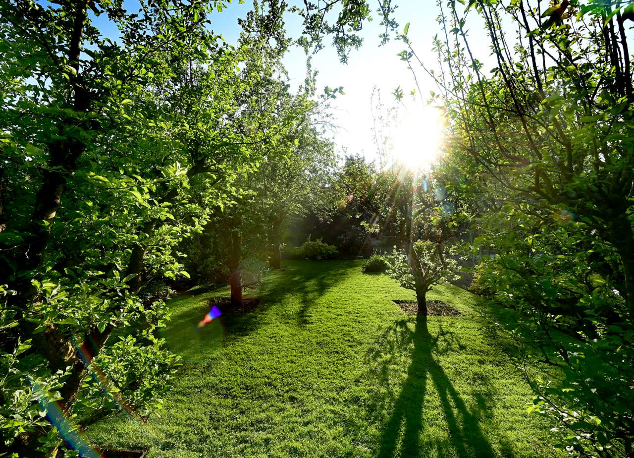 Foto 25 van Zwaluw 6