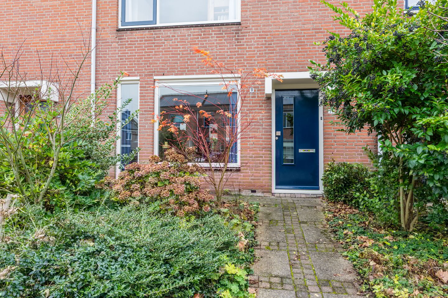 Foto 5 van Groene Ree 39