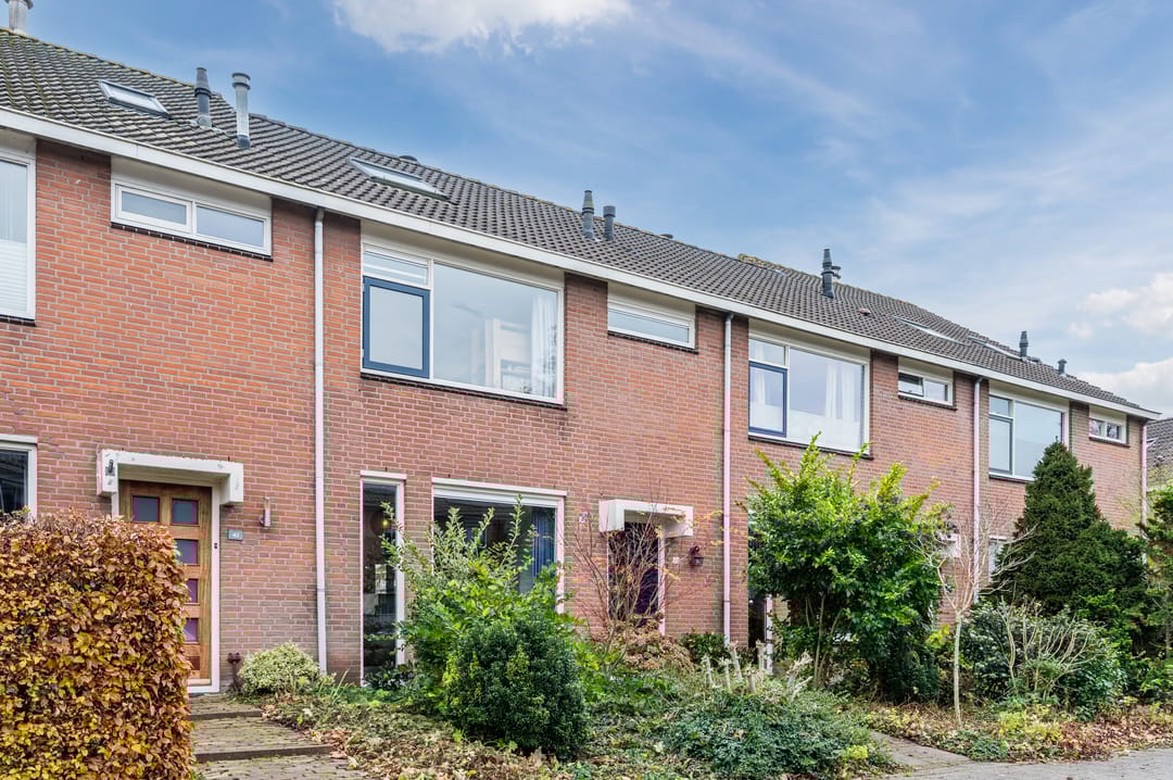 Foto 46 van Groene Ree 39