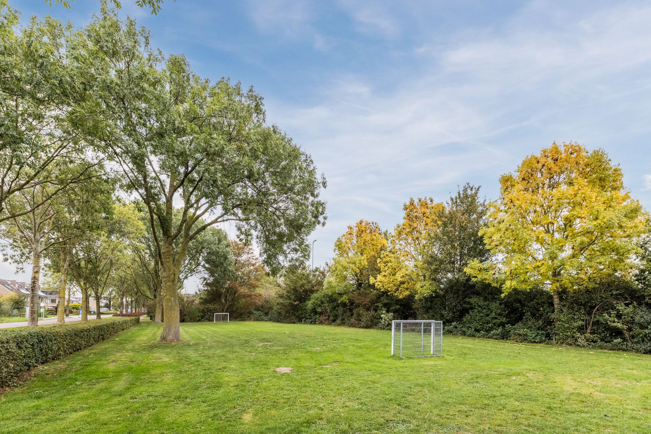 Foto 48 van Groene Ree 39