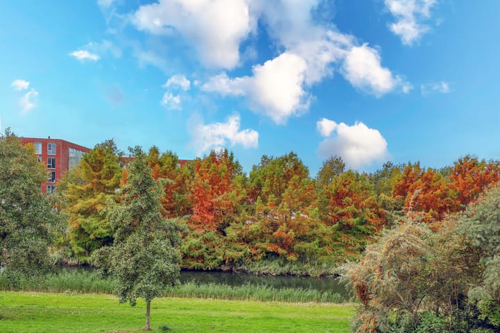 Foto 41 van Michelangelostraat 167