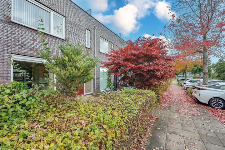 Foto 49 van Michelangelostraat 167