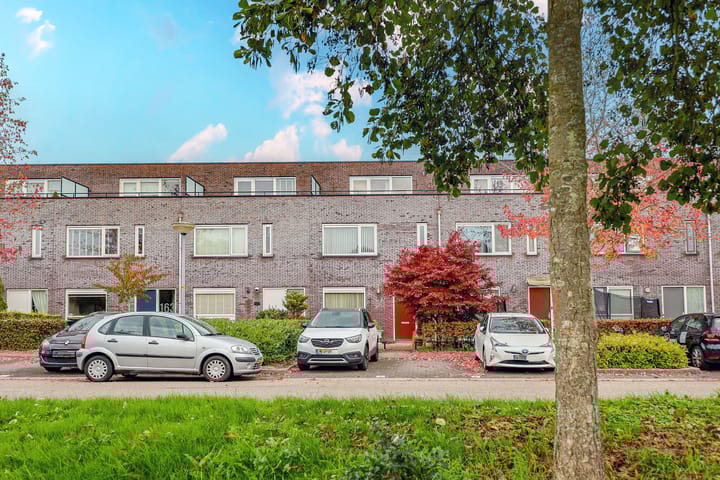 Foto 50 van Michelangelostraat 167