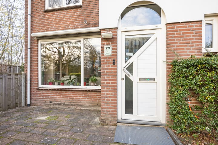 Foto 29 van Leemwierde 211