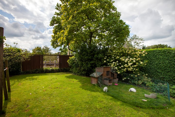 Foto 31 van Goejanverwelle 80