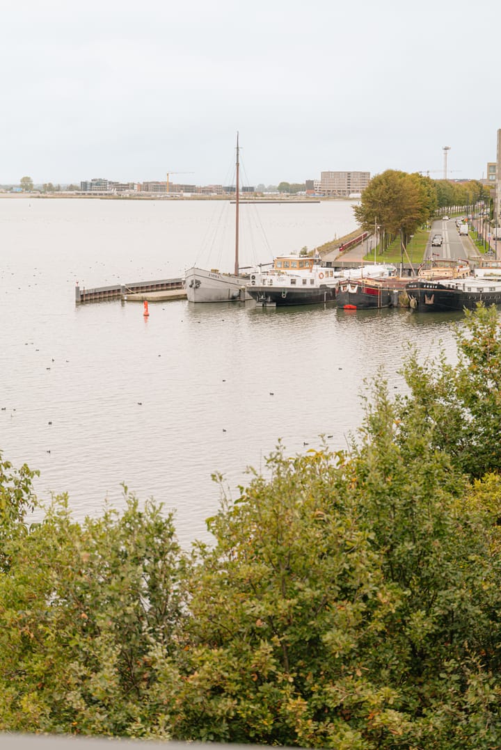 Foto 40 van Smalschipstraat 31