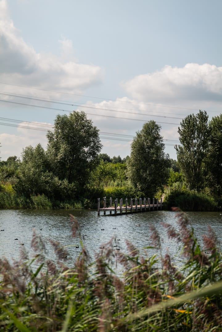 Foto 56 van Smalschipstraat 31