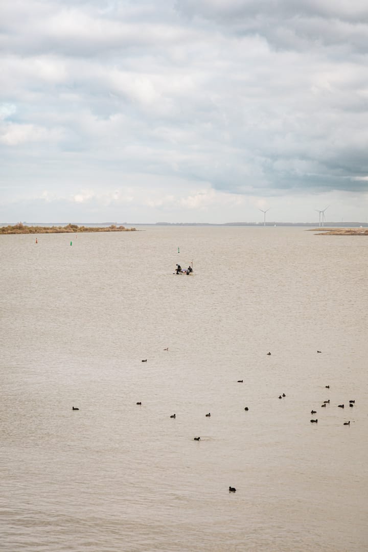 Foto 59 van Smalschipstraat 31