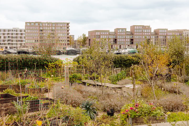 Foto 62 van Smalschipstraat 31