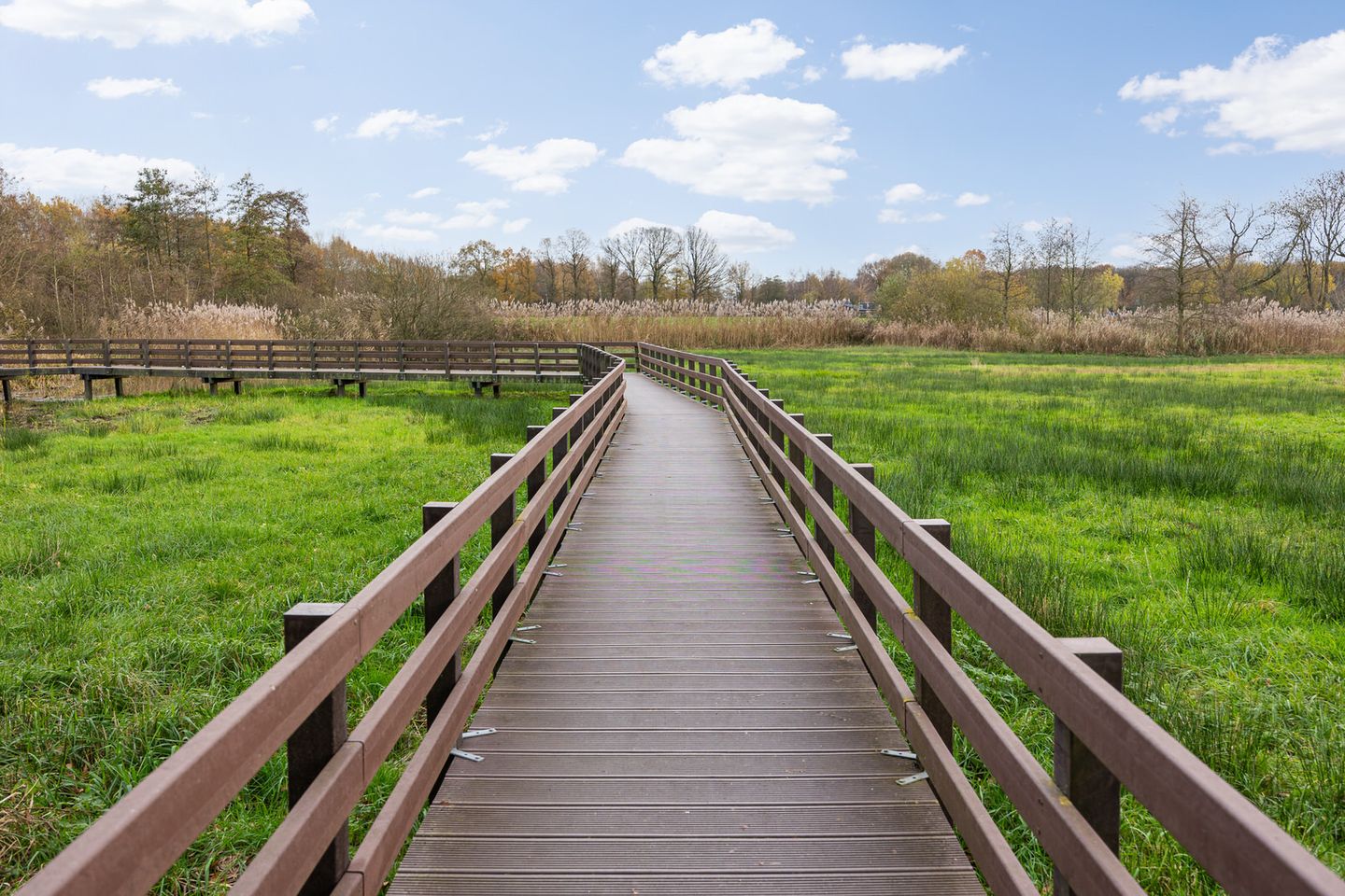 Photo 49 of Vorsenpoel 51