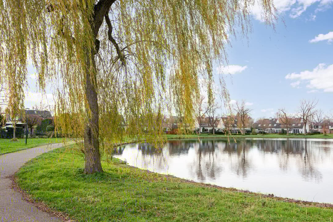 Photo 52 of Vorsenpoel 51