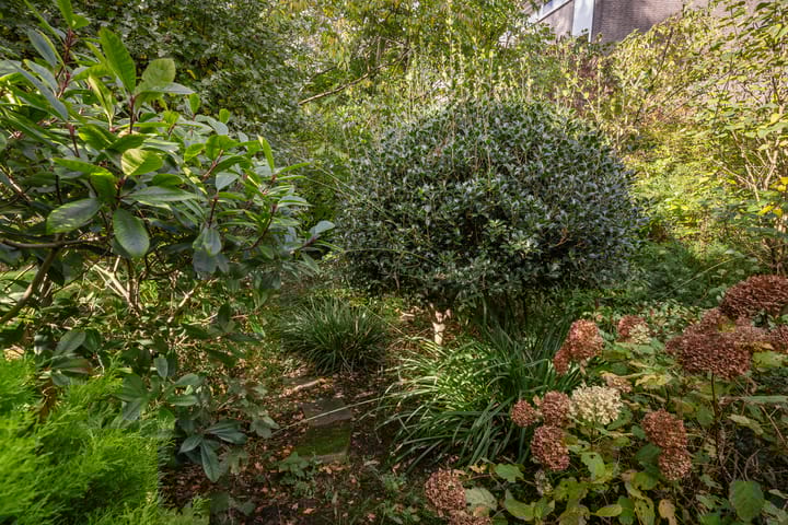 Photo 13 of Oever 35