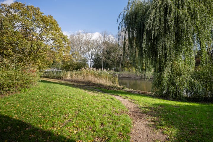 Photo 40 of Oever 35