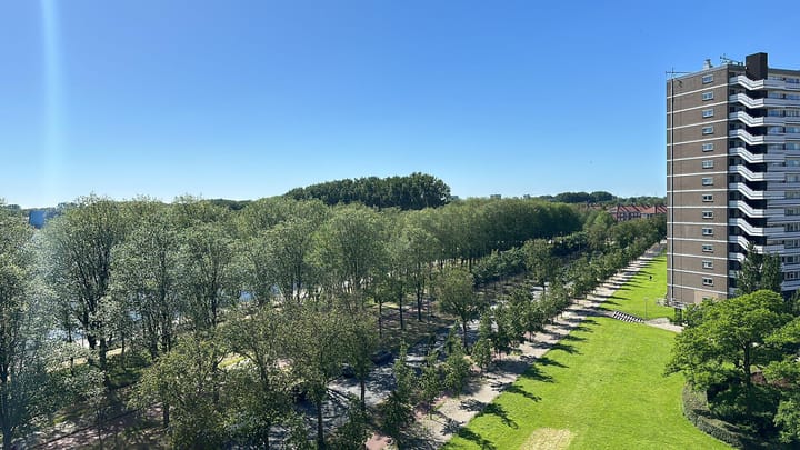 Photo 3 of Burgemeester Hogguerstraat 203