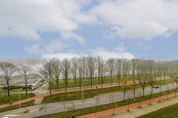 Photo 12 of Burgemeester Hogguerstraat 203