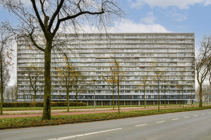 Photo 20 of Burgemeester Hogguerstraat 203