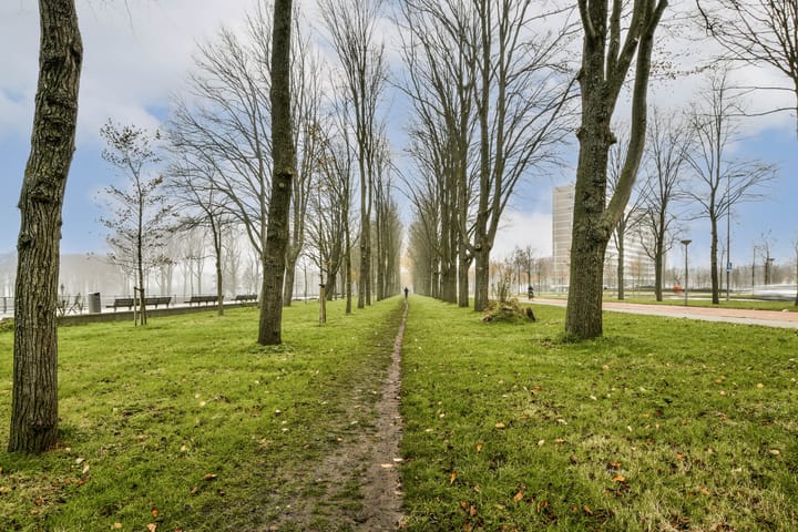 Photo 23 of Burgemeester Hogguerstraat 203