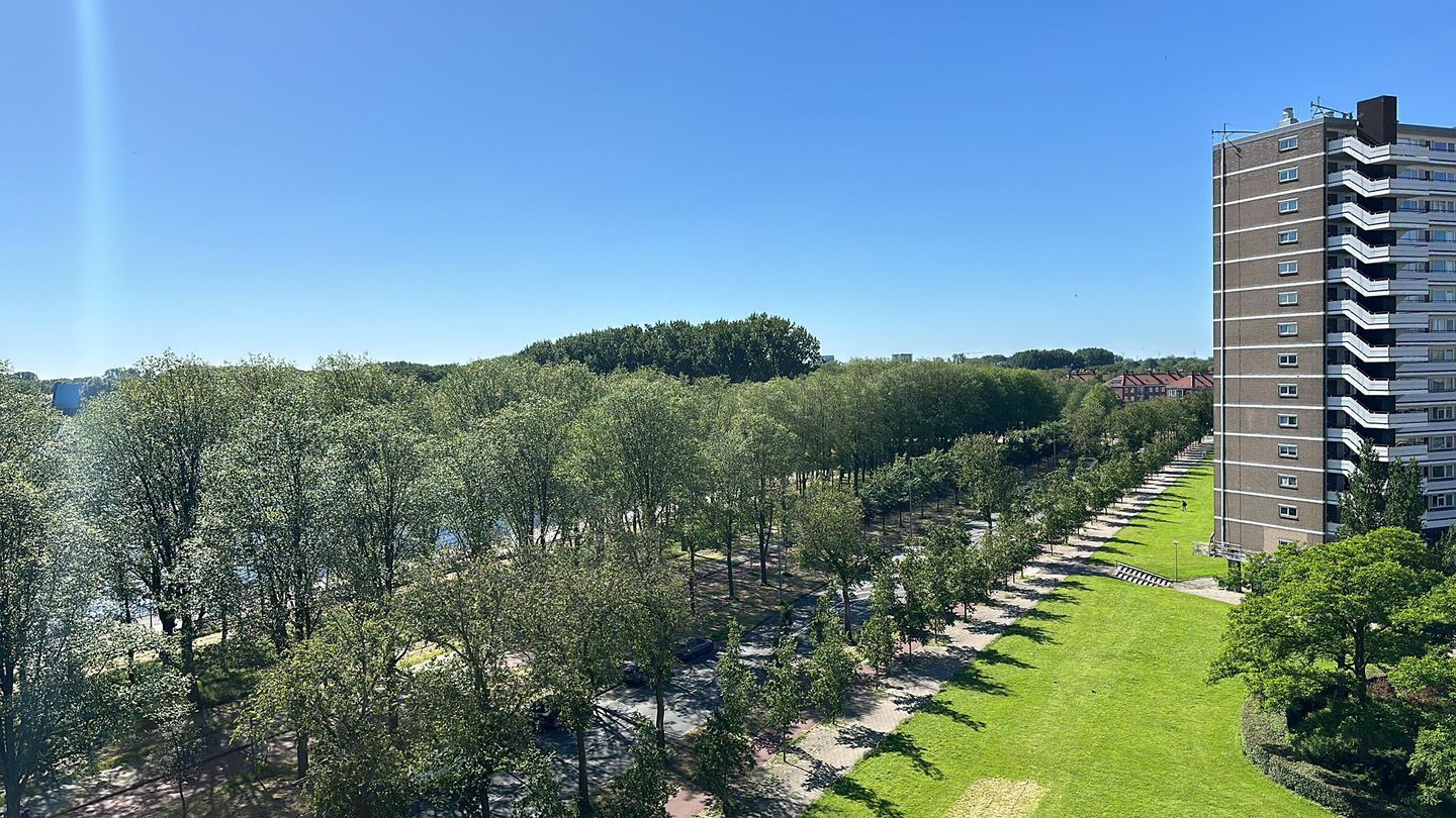 Foto 25 van Burgemeester Hogguerstraat 203