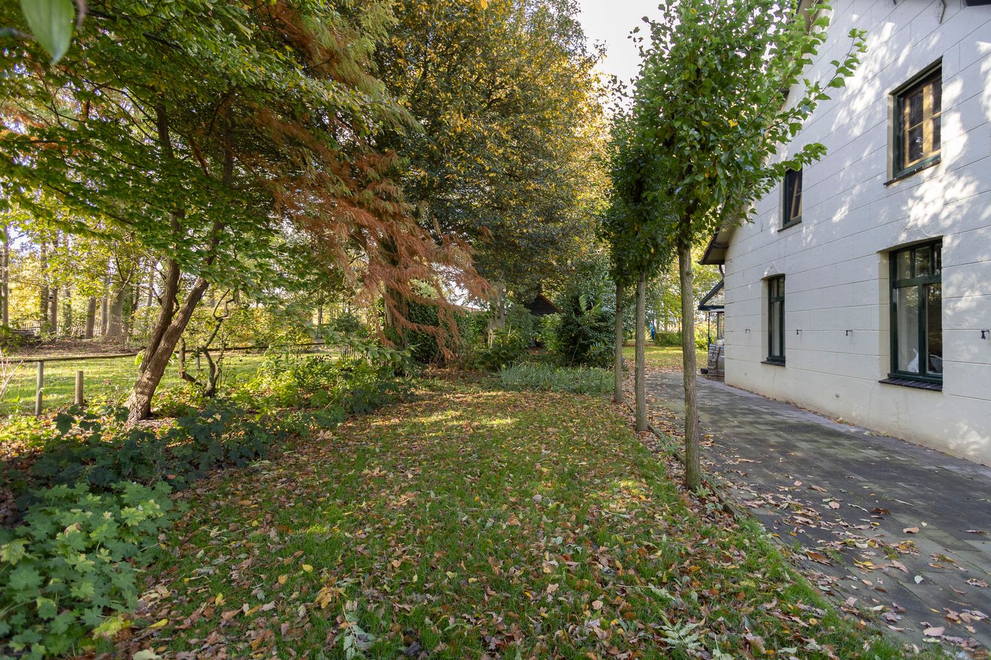 Foto 55 van Rakerstraat 5