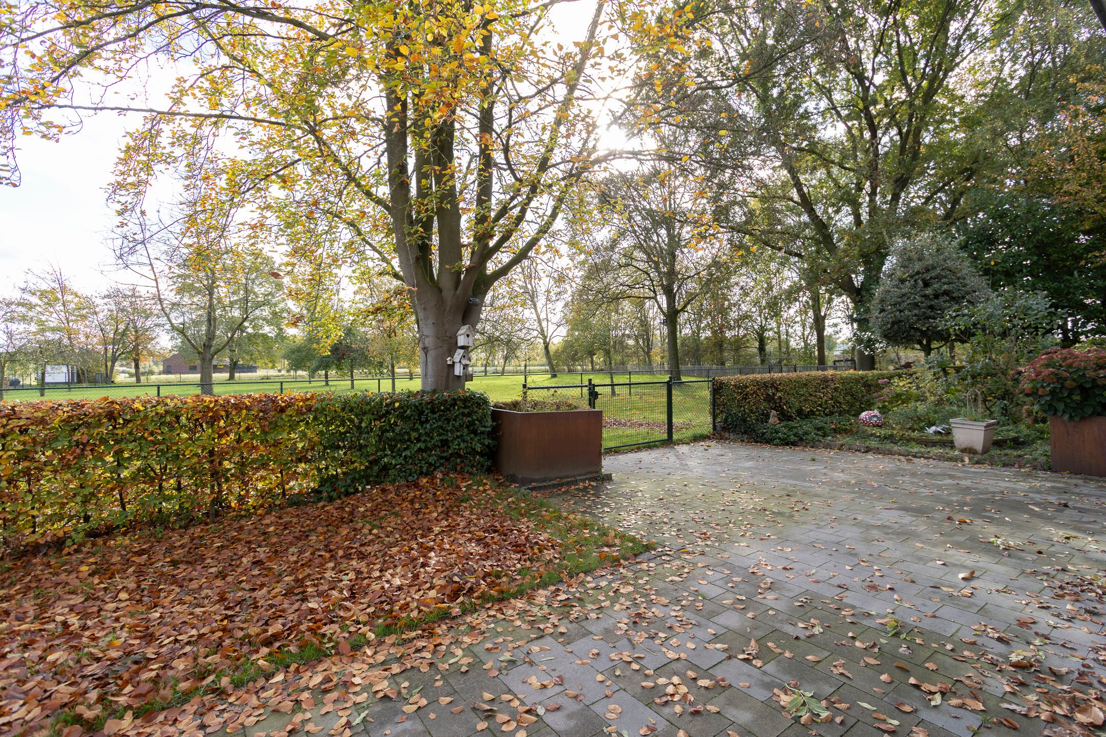 Foto 57 van Rakerstraat 5