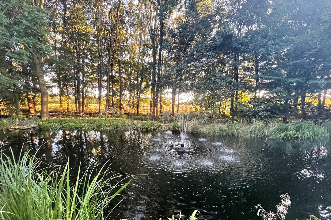 Foto 68 van Rakerstraat 5