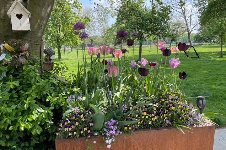 Foto 69 van Rakerstraat 5