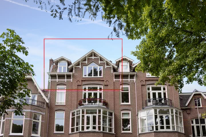 Foto 3 van Wilhelminapark 5-C