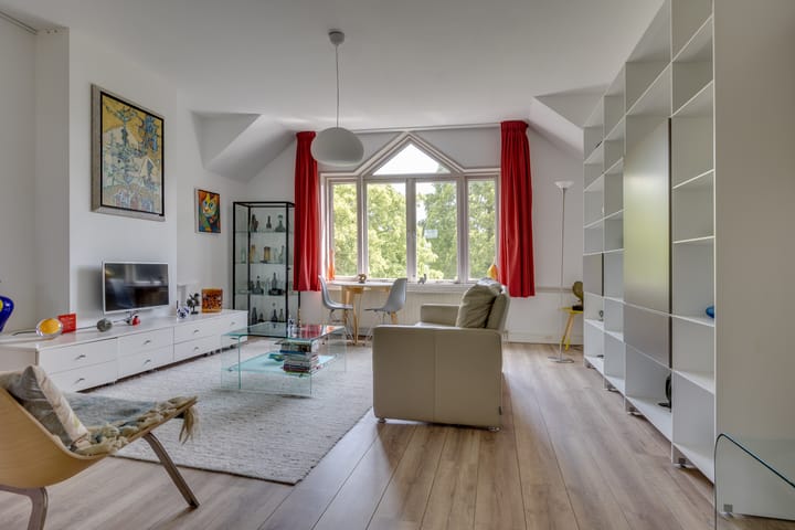 Foto 7 van Wilhelminapark 5-C