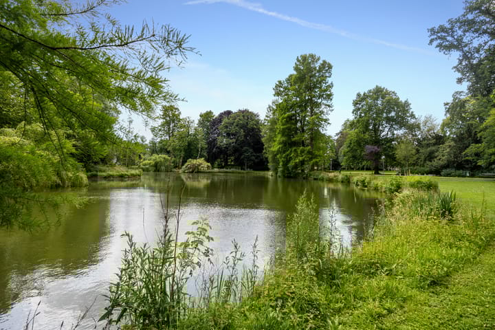 Foto 24 van Wilhelminapark 5-C