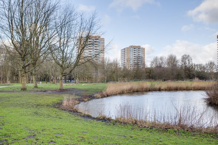 Foto 32 van Staalmeesterslaan 219