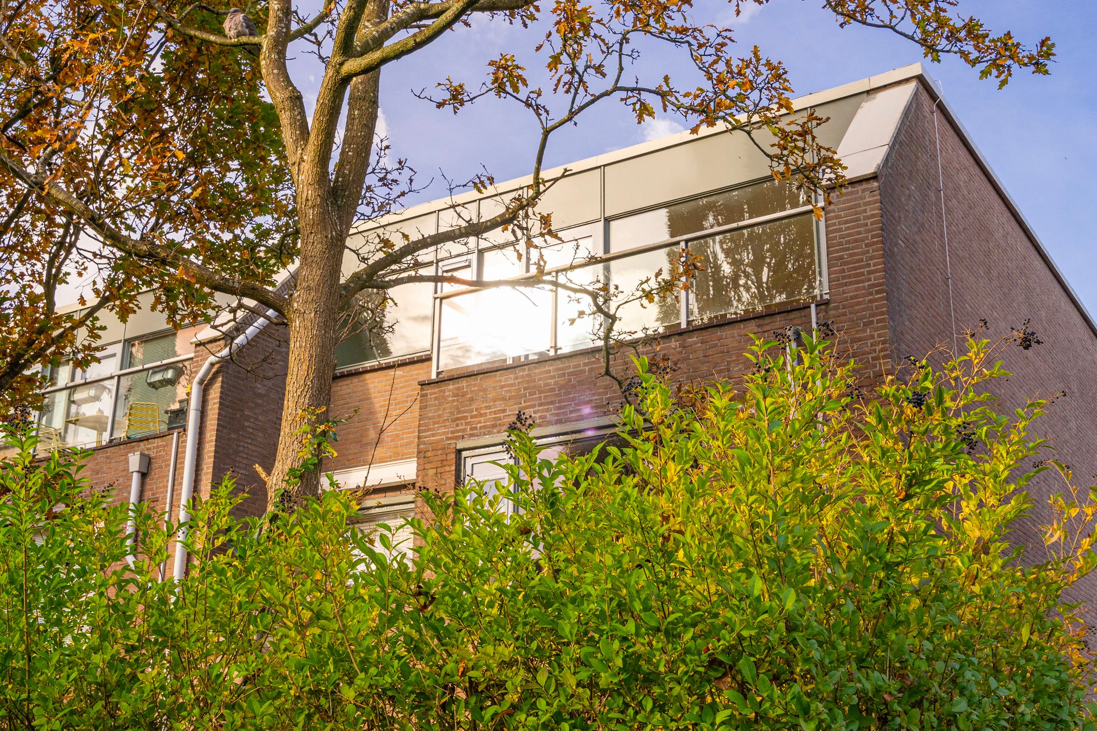 Foto 21 van Sint Ansfridusstraat 46-A