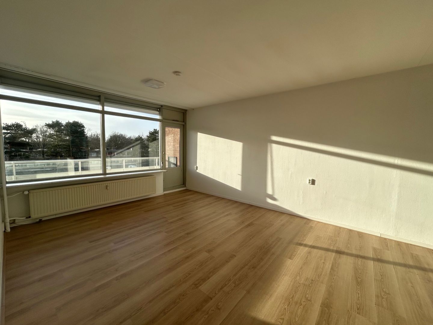 Foto 10 van Houtweg 161