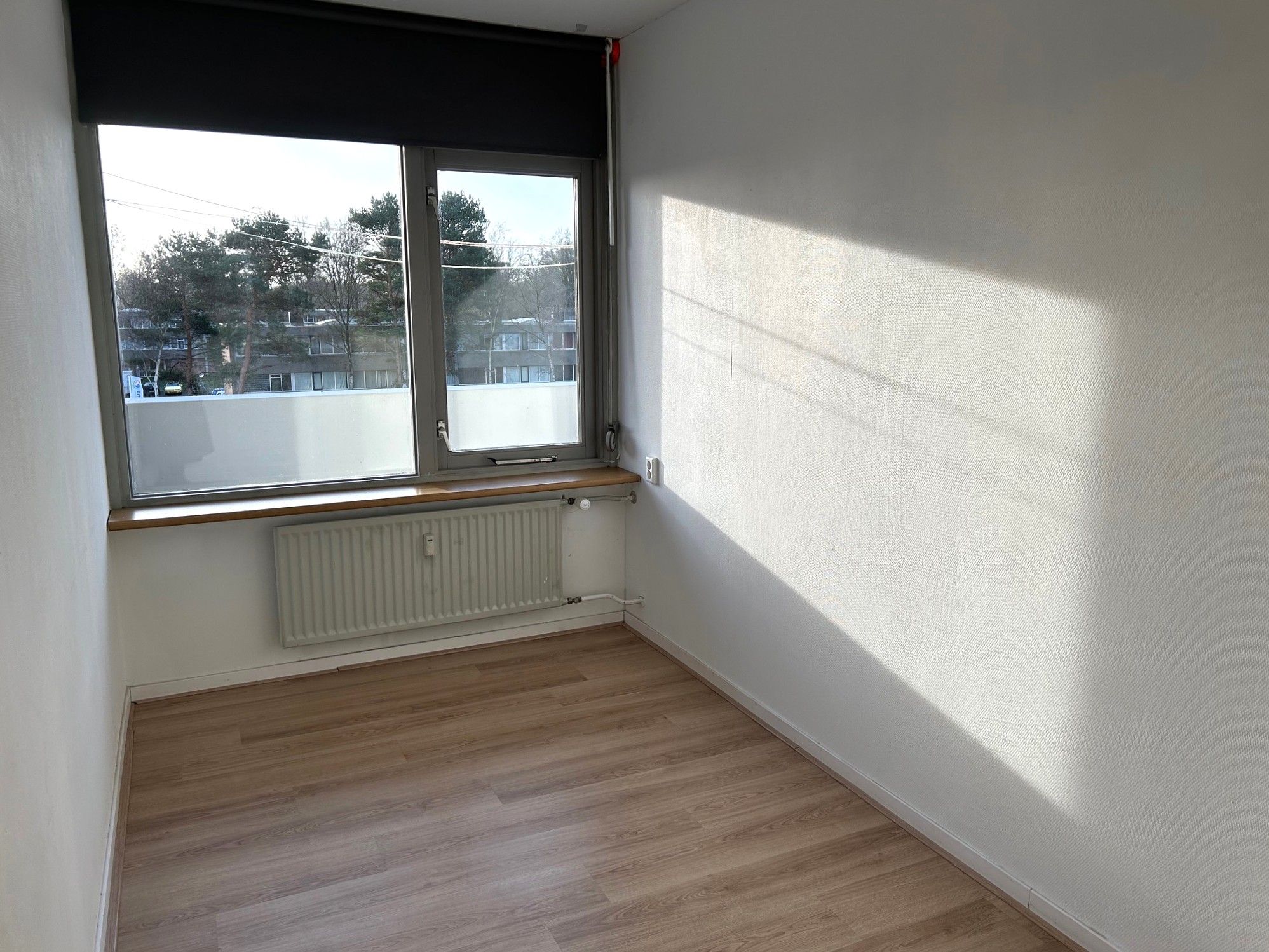 Foto 33 van Houtweg 161