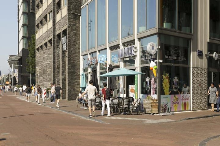 Photo 47 of Ton de Leeuwstraat 18