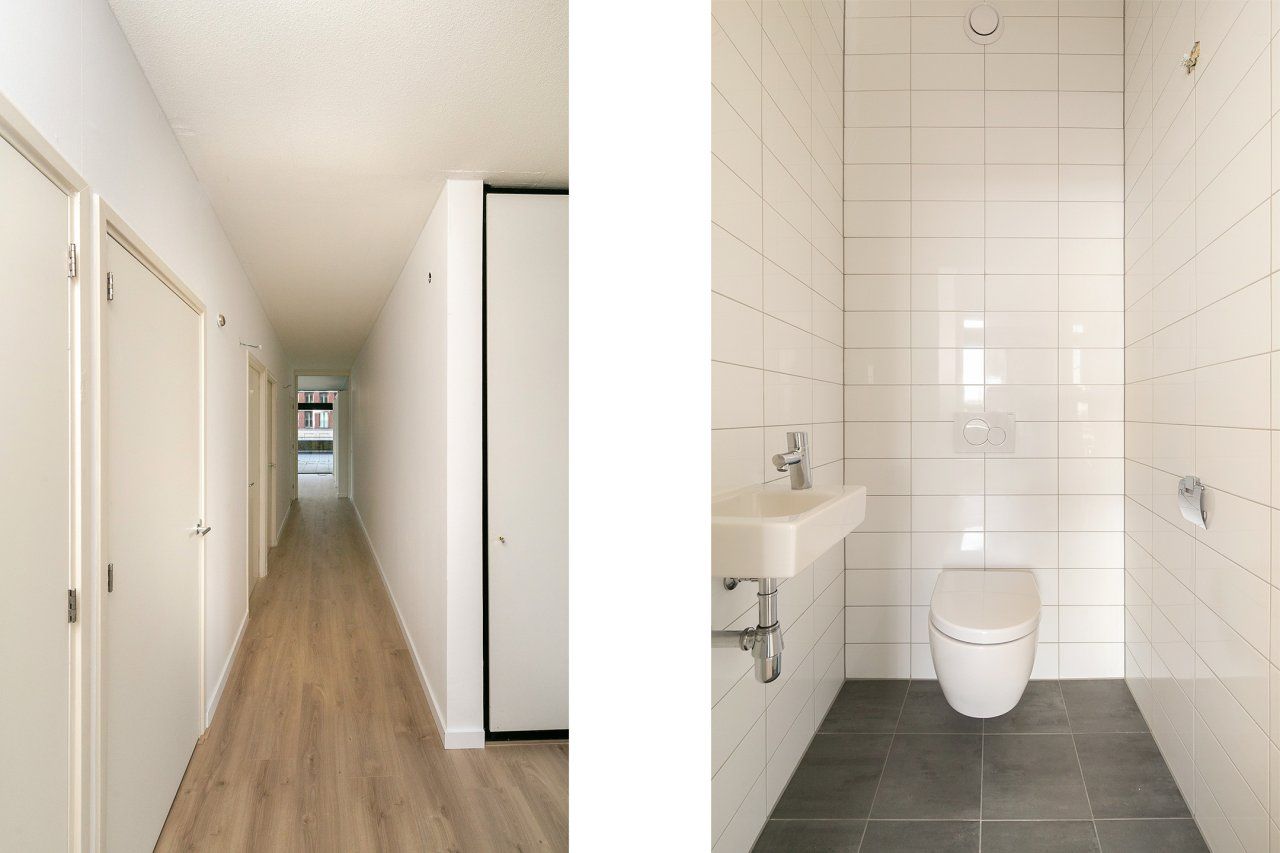 Photo 5 of Purperhoedenveem 80