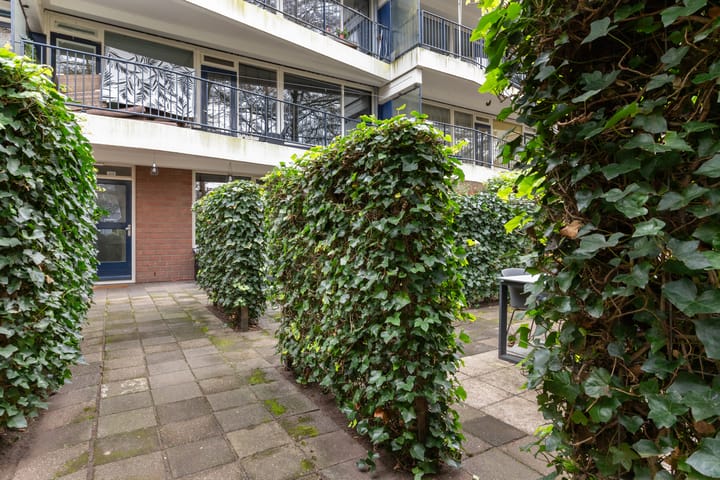 Photo 8 of Ruigenburg 219